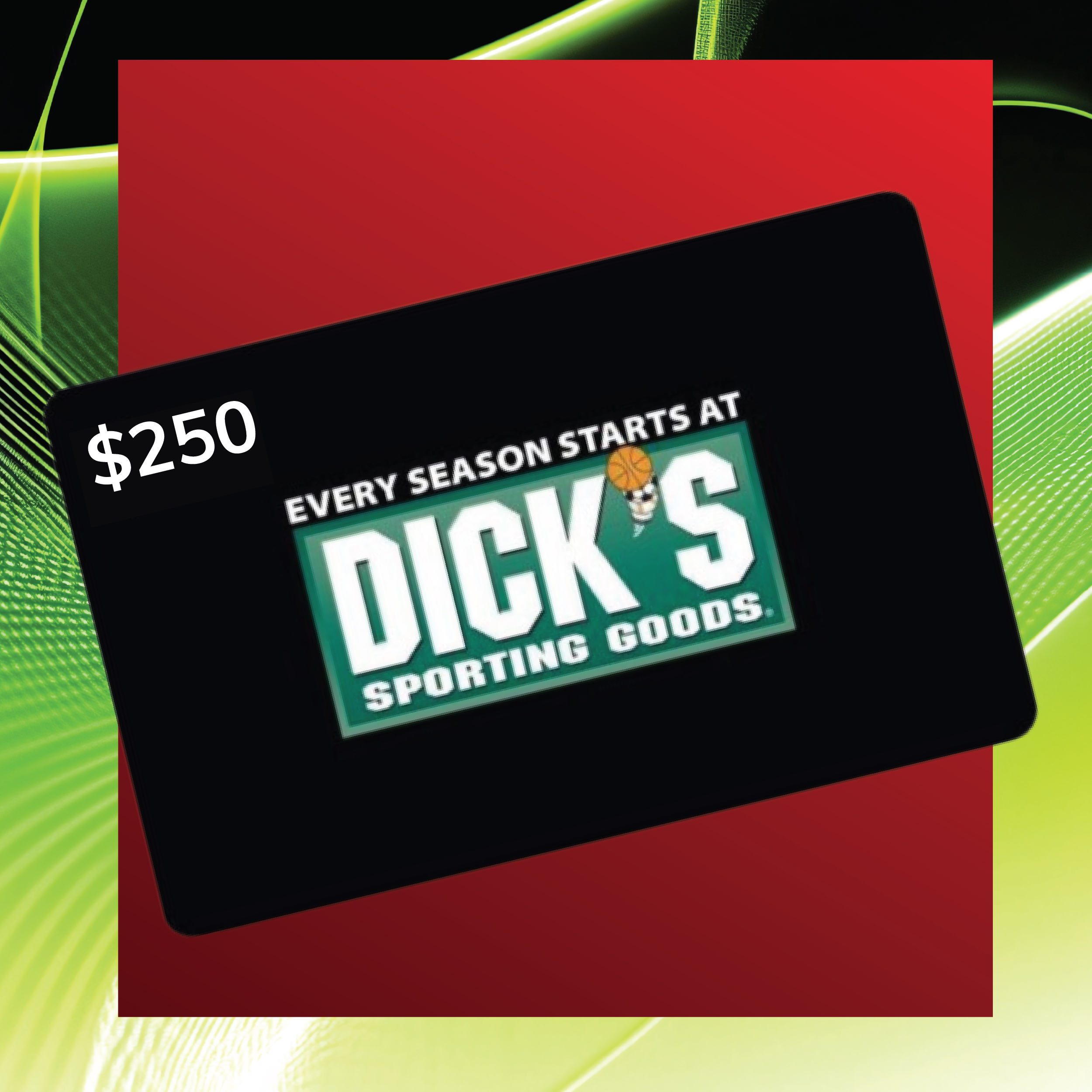 $250 Dick's Sporting gift card image